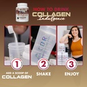 core-nutritionals-collagen-indulgence-hy-6.jpg