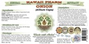 onion-alcohol-free-liquid-extract-onion--2.jpg