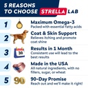 strellalab-salmon-oil-for-dogs-bundle-om-6.jpg