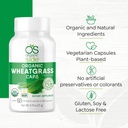 os-organic-side-2-pack-organic-wheatgras-5.jpg