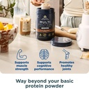 ancient-nutrition-multi-protein-animal-b-2.jpg