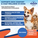 natural-cats-dogs-yeast-infection-anti-i-2.jpg