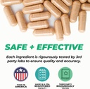 dynamism-labs-ai-brain-booster-nootropic-3.jpg