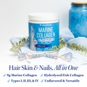 vitauthority-marine-collagen-peptides-po-4.jpg