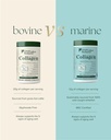 great-lakes-wellness-sustainable-marine--5.jpg