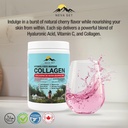 hydrolyzed-marine-collagen-with-hyaluron-6.jpg