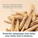 ancient-nutrition-women-s-50-multivitami-6.jpg