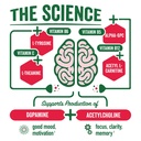brainjuice-nootropics-brain-support-supp-3.jpg