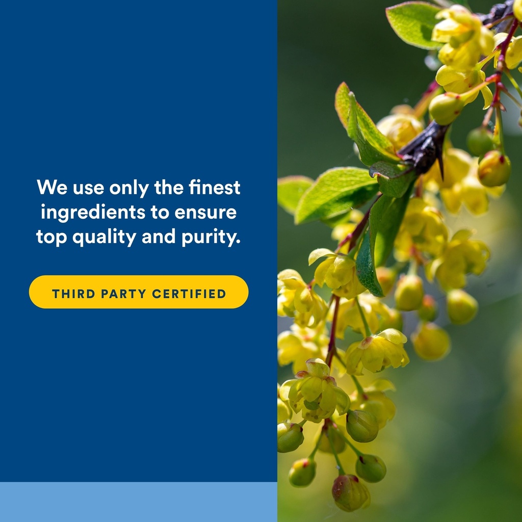 natural-factors-wellbetx-berberine-daily-4.jpg