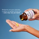 designs-for-health-berberine-synergy-ber-4.jpg