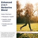 designs-for-health-berberine-synergy-ber-2.jpg
