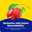 enzymedica-berberine-phytosome-high-abso-6.jpg