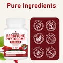 7-in-1-berberine-phytosome-with-ceylon-c-5.jpg