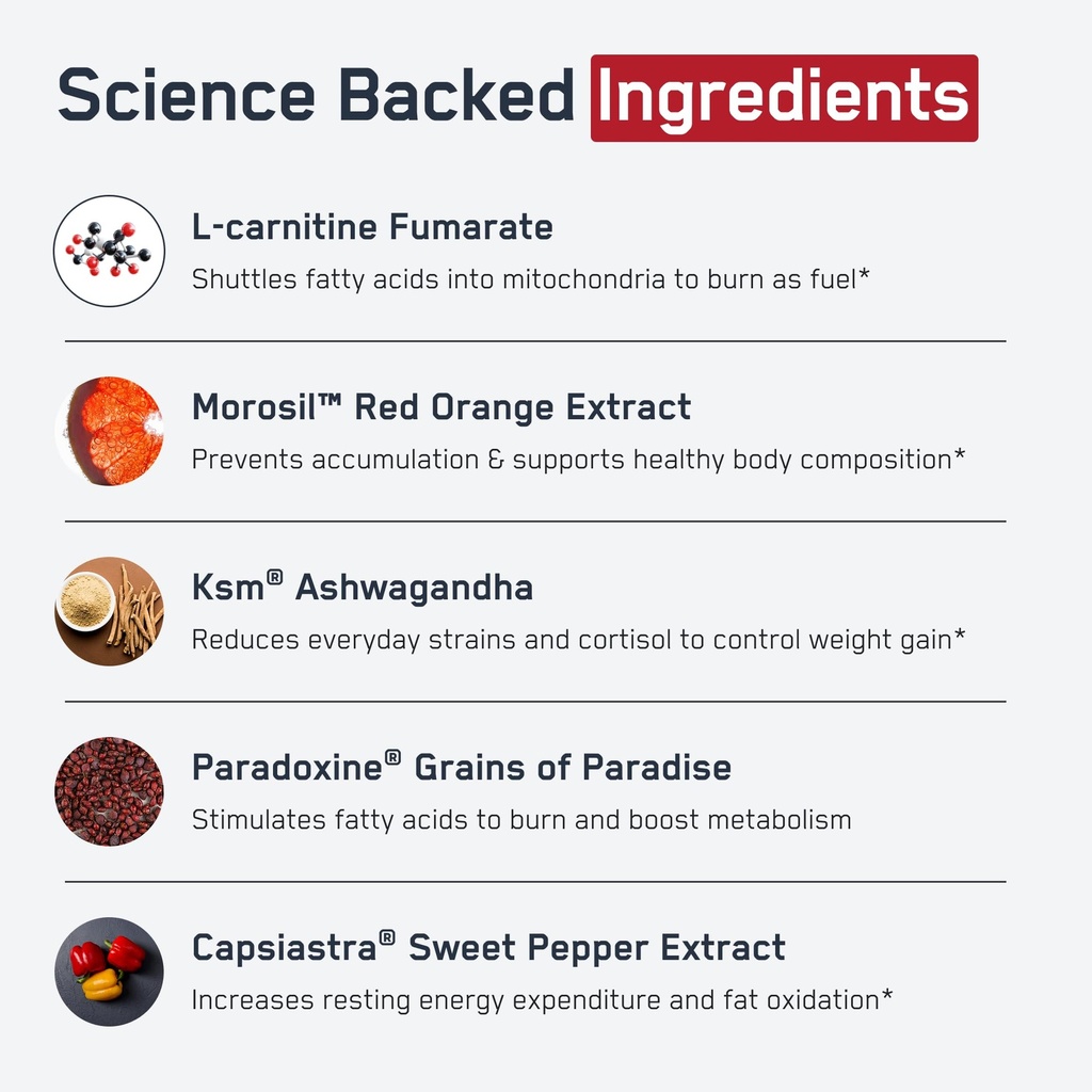 steelfit-steel-core-stimulant-free-fat-b-3.jpg