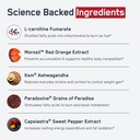 steelfit-steel-core-stimulant-free-fat-b-3.jpg