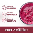 force-factor-total-beets-organic-beetroo-4.jpg