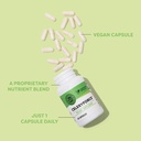 vimergy-celeryforce-nutrients-and-amino--3.jpg