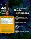 herb-pharm-certified-organic-golden-echi-2.jpg