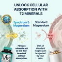spectrum-5-magnesium-5-in-1-complex-72-t-4.jpg