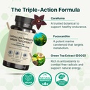 vinatura-caralluma-fimbriata-egcg-45-ext-4.jpg