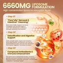 vivonu-25-in-1-liposomal-black-walnut-wo-4.jpg