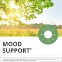 nutramedix-stress-support-bundle-supplem-2.jpg