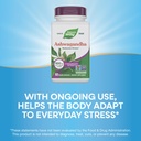 nature-s-way-ashwagandha-500-mg-per-serv-4.jpg