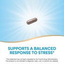 nature-s-way-ashwagandha-500-mg-per-serv-6.jpg