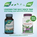nature-s-way-ashwagandha-500-mg-per-serv-2.jpg