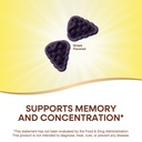 nature-s-way-brain-fuel-gummies-brain-su-3.jpg