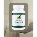 focus-nootropic-brain-supplement-boosts--2.jpg