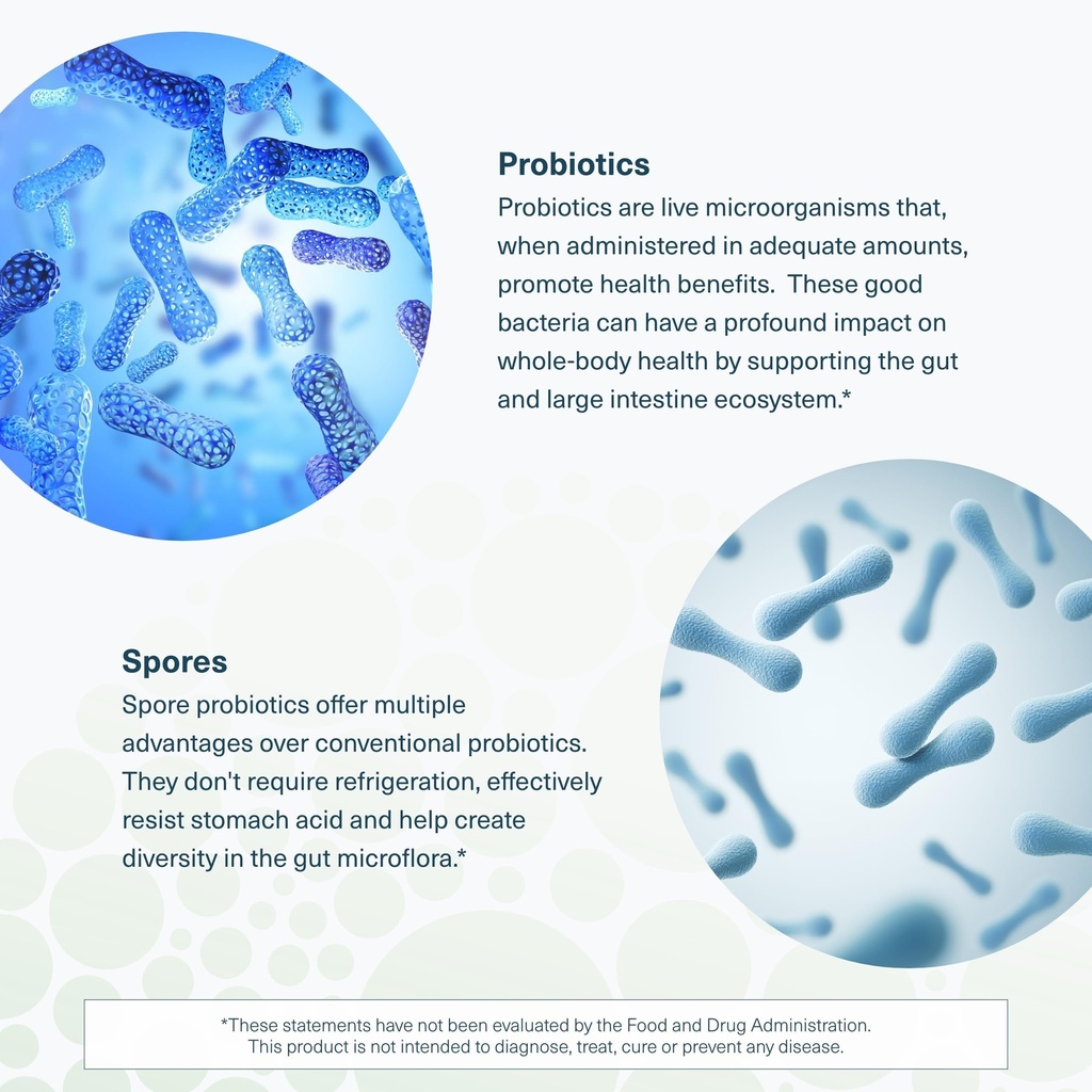 youtheory-spore-probiotic-helps-gut-heal-5.jpg