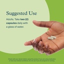 youtheory-spore-probiotic-helps-gut-heal-6.jpg