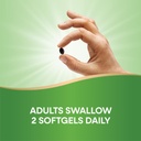 nature-s-way-chlorofresh-chlorophyll-con-6.jpg