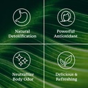 nature-s-sunshine-liquid-chlorophyll-ext-5.jpg