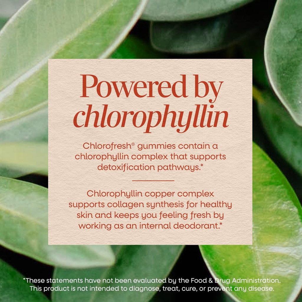 nature-s-way-chlorofresh-chlorophyll-gum-4.jpg