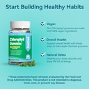 sugar-free-chlorophyll-gummies-vitamin-b-3.jpg