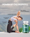 chlorophyll-gummies-for-body-odor-sugar--4.jpg