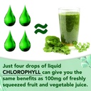 chlorophyll-liquid-drops-organic-liquid--4.jpg