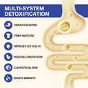 gut-cleanse-detox-for-women-colon-cleans-2.jpg