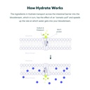 cheers-super-combo-restore-protect-hydra-6.jpg