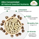 organic-veda-moringa-seed-capsules-omega-3.jpg