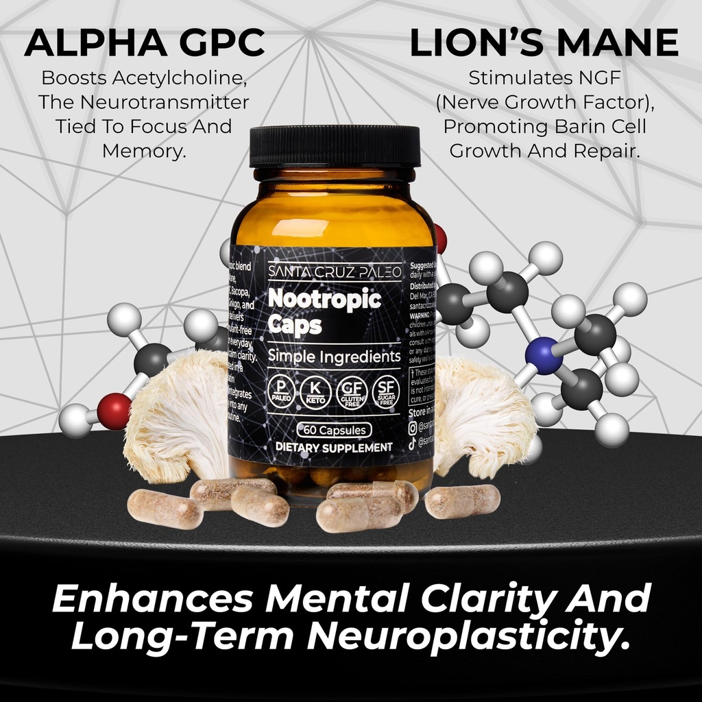 santa-cruz-paleo-nootropic-capsules-lion-5.jpg