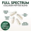 multi-collagen-complex-2400mg-per-servin-5.jpg