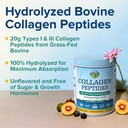 terranics-hydrolyzed-collagen-peptides-p-3.jpg