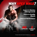 3-pack-apex-male-capsules-official-apexm-4.jpg