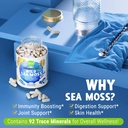 maju-wild-irish-sea-moss-capsules-120ct--3.jpg