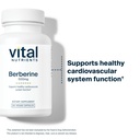 vital-nutrients-berberine-supports-bowel-5.jpg