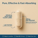 premium-berberine-hcl-rebersa-500mg-acv--4.jpg
