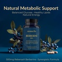 premium-berberine-hcl-rebersa-500mg-acv--3.jpg